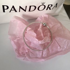 SOLD: Pandora Moments Mesh Bangle (Silver)